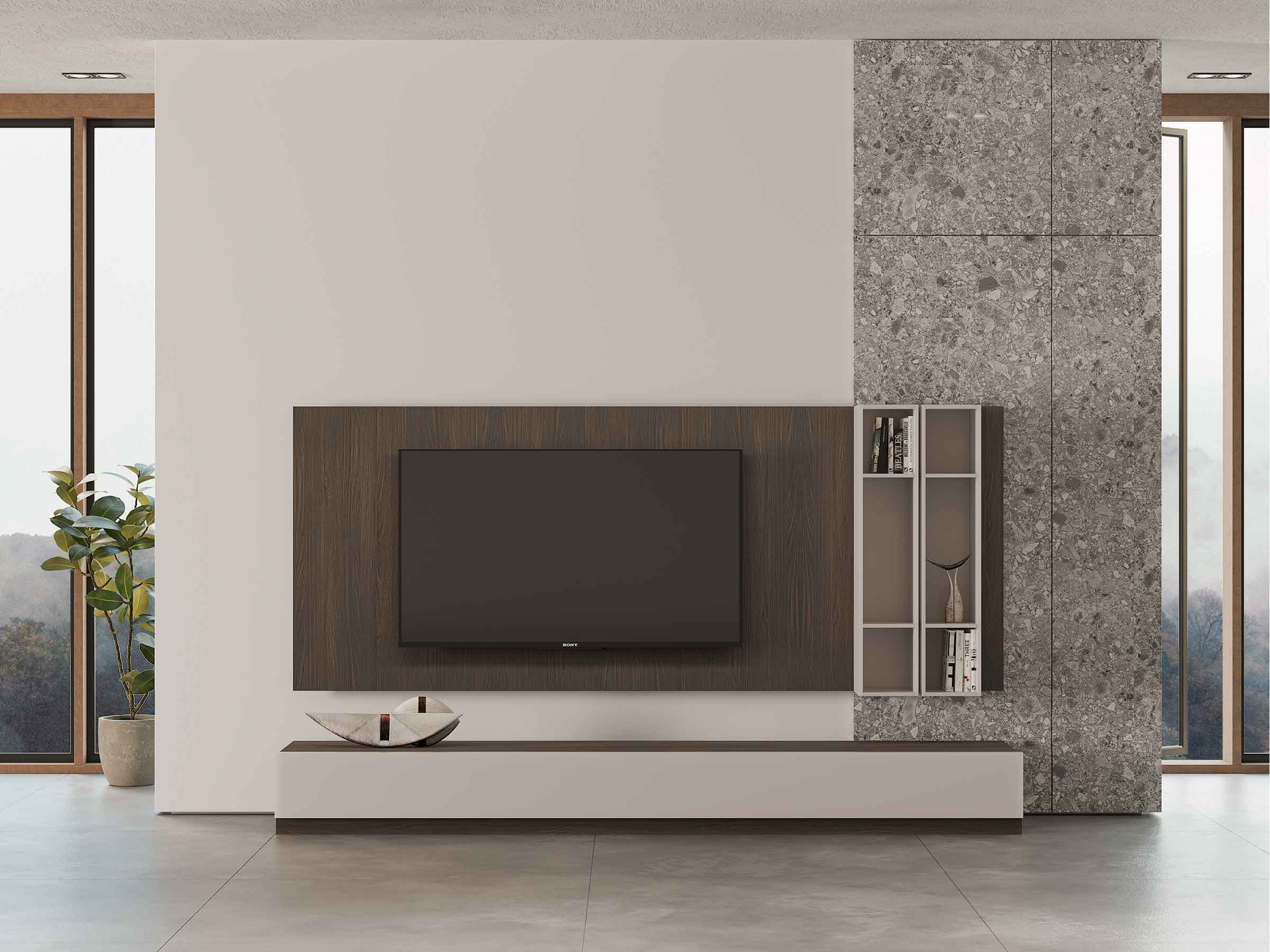 TV Unit 21